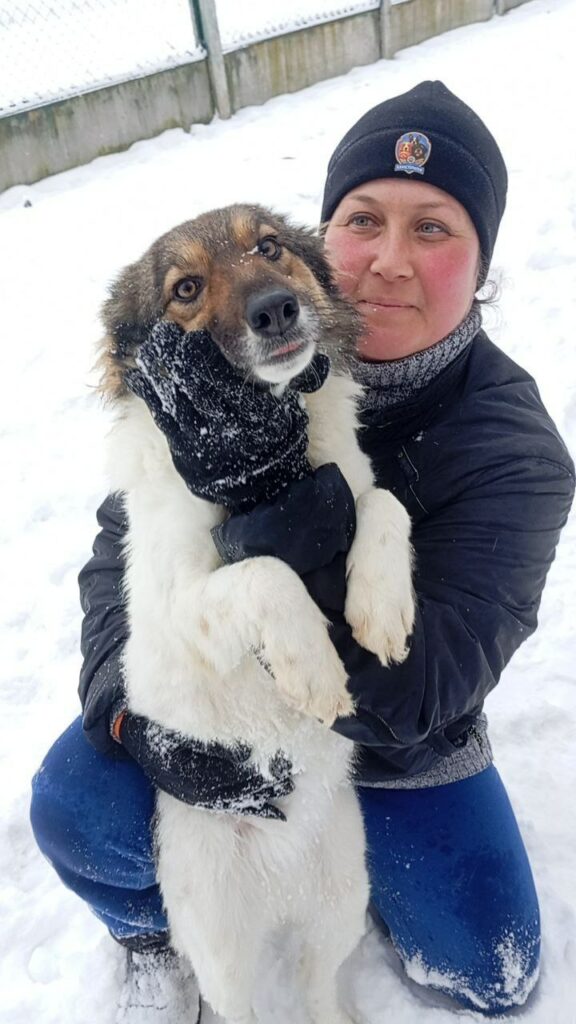 Волонтери організували фотосесію у притулку для тварин