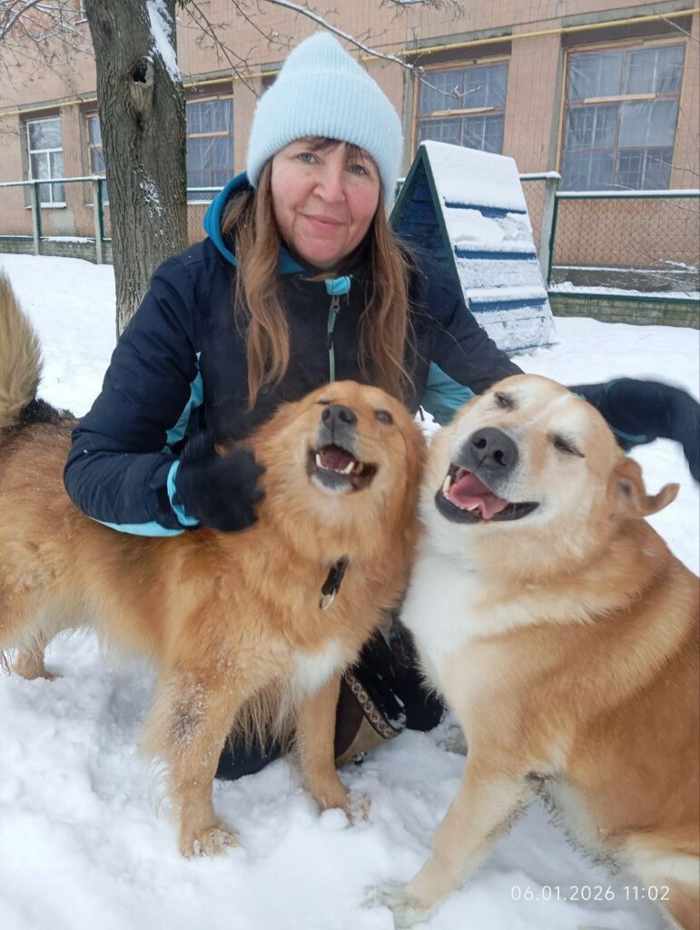 Волонтери організували фотосесію у притулку для тварин
