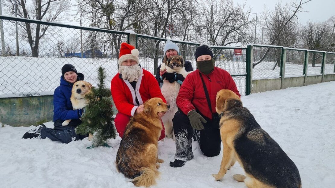 Волонтери організували фотосесію у притулку для тварин