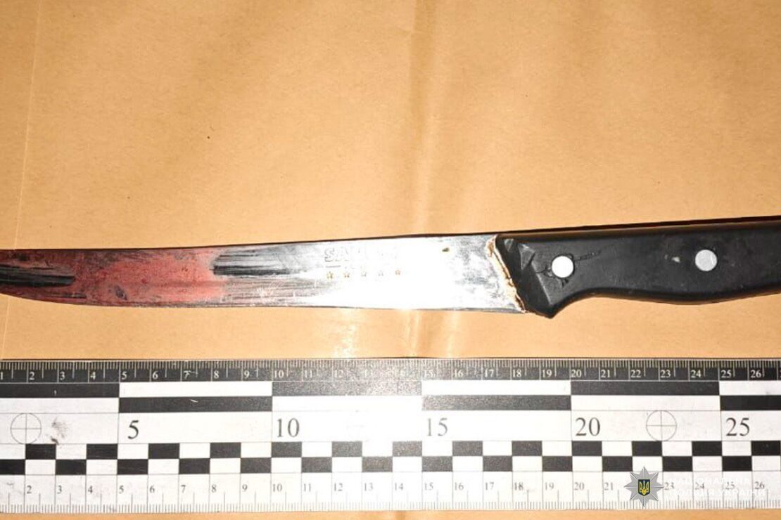 На Харківщині жінка зізналася у скоєному вбивстві