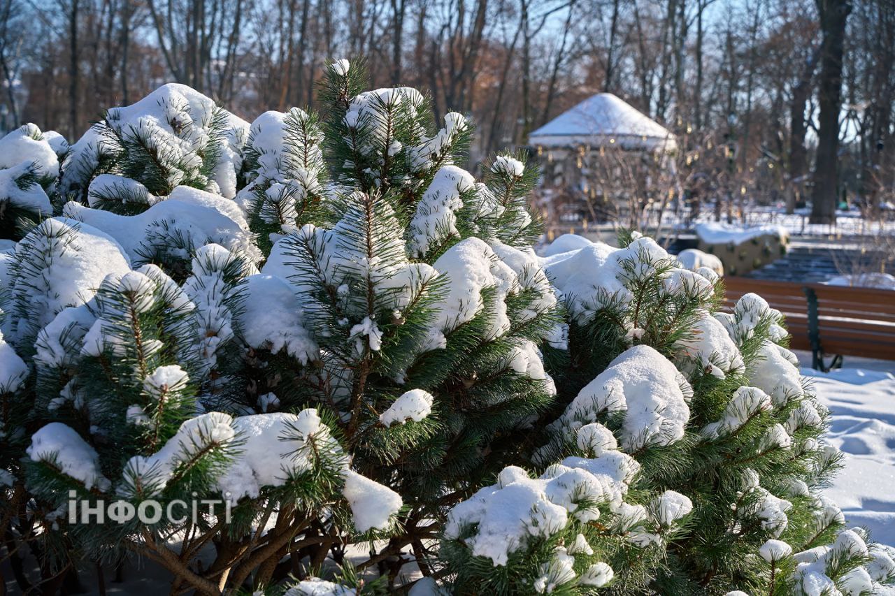 До мінус 25 градусів: синоптики попередили про сильні морози