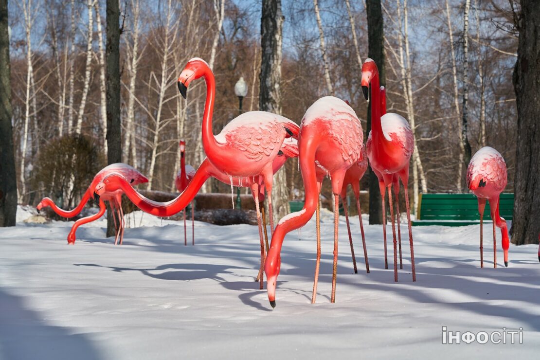 Прогноз погоди у Харкові на 20 лютого 2026 року