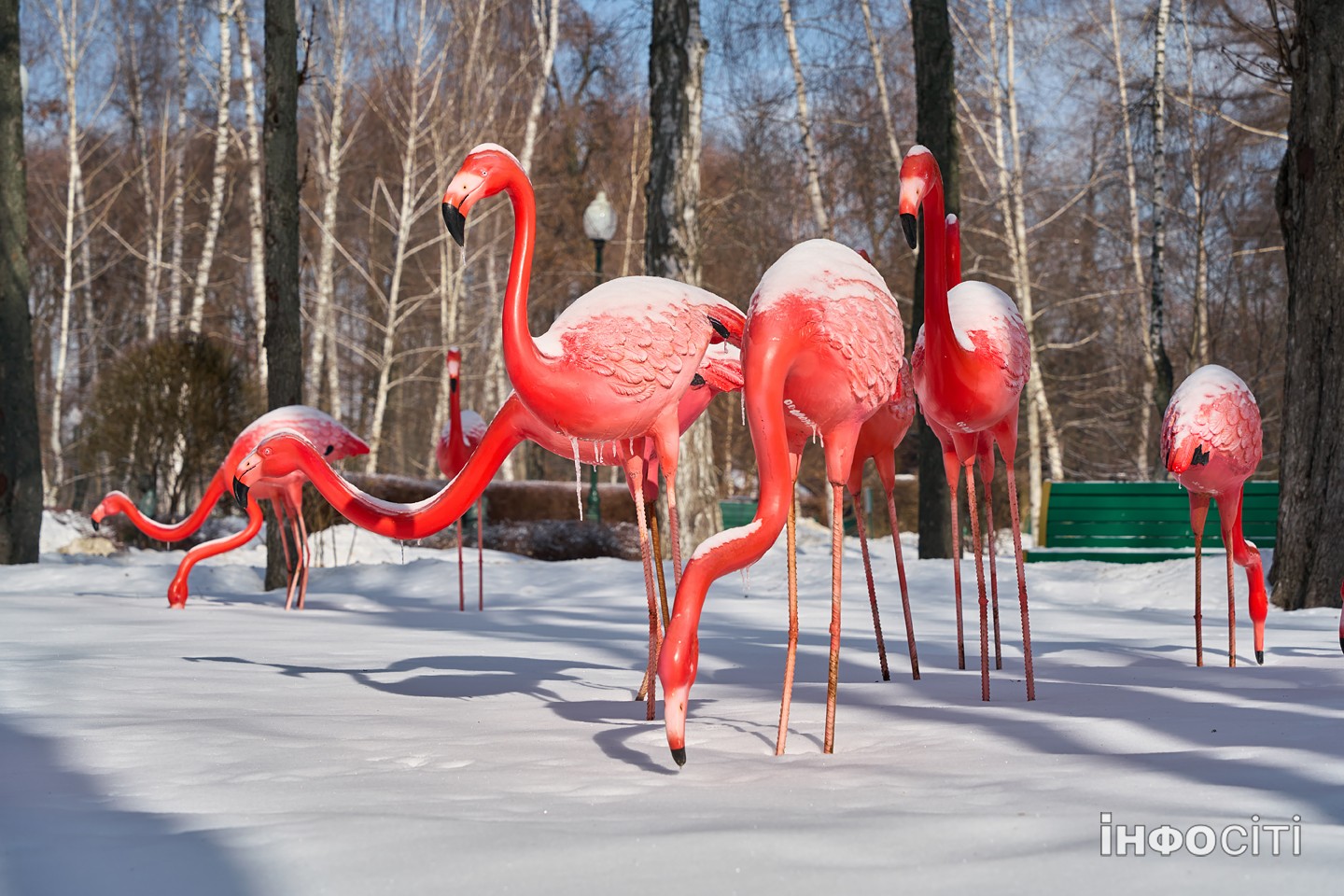 Прогноз погоди у Харкові на 20 лютого 2026 року