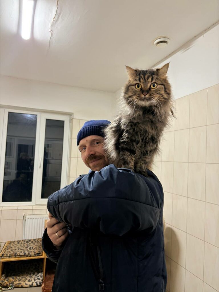 У січні харківський притулок прийняв 107 тварин (фото)