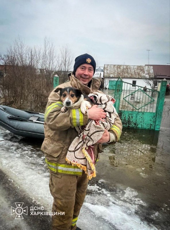 У Харківському районі евакуювали родину з підтопленого будинку (фото)