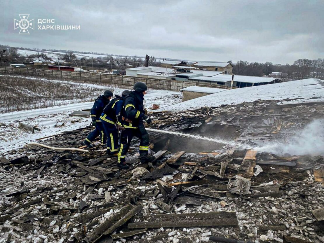 Внаслідок обстрілу на Харківщині загинуло близько 100 свиней (фото)