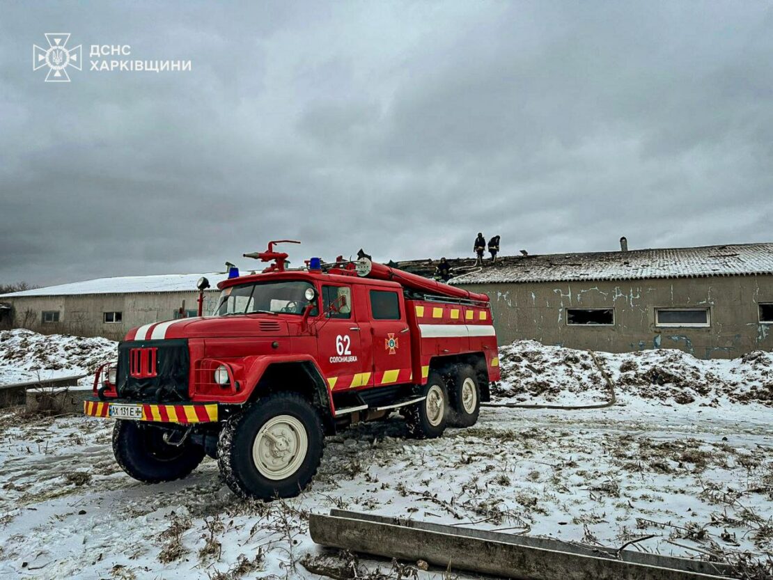 Внаслідок обстрілу на Харківщині загинуло близько 100 свиней (фото)