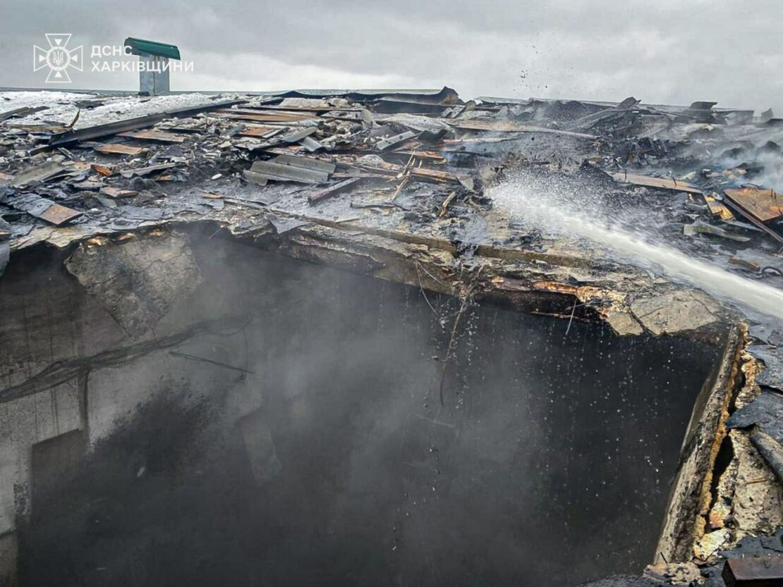 Внаслідок обстрілу на Харківщині загинуло близько 100 свиней (фото)