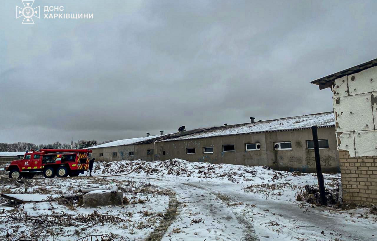 Внаслідок обстрілу на Харківщині загинуло близько 100 свиней