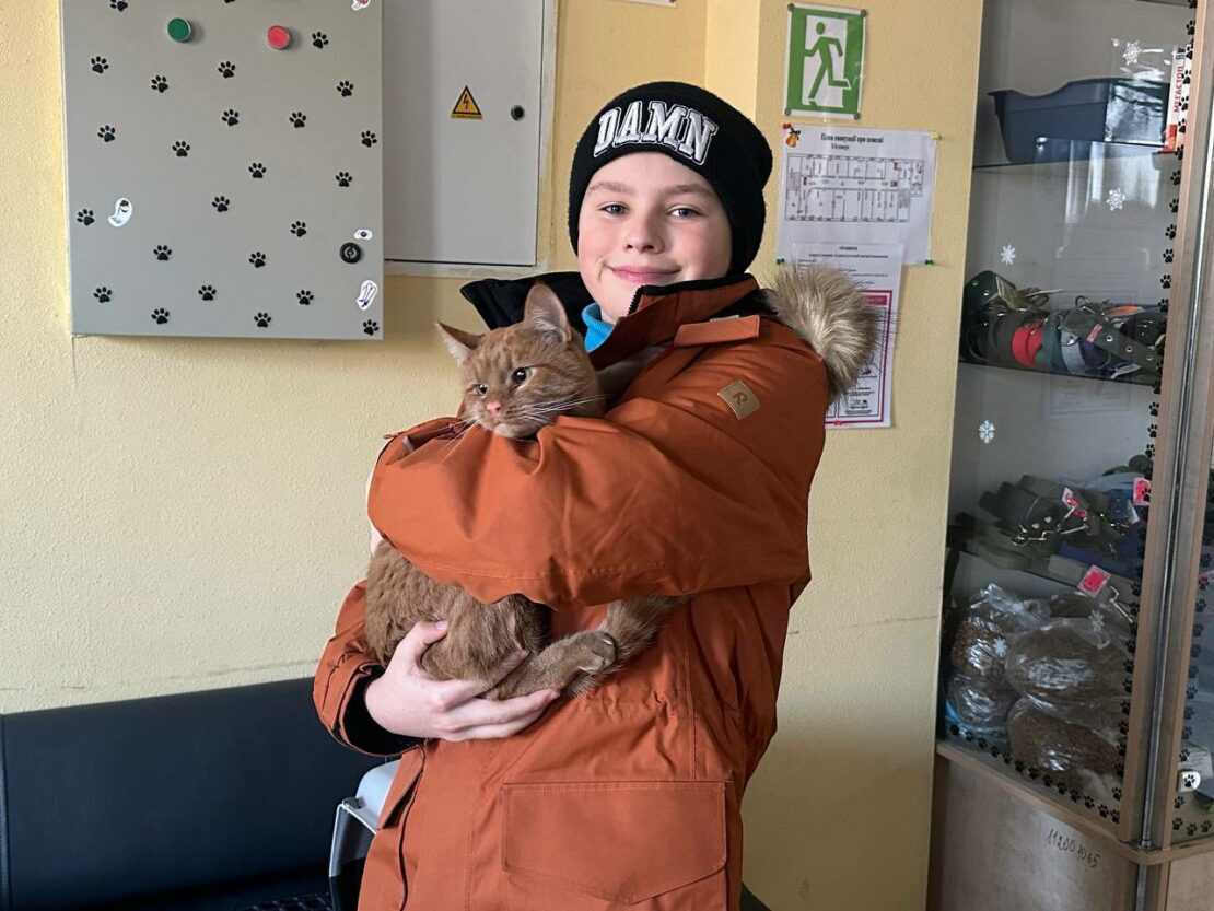 У січні харківський притулок прийняв 107 тварин (фото)