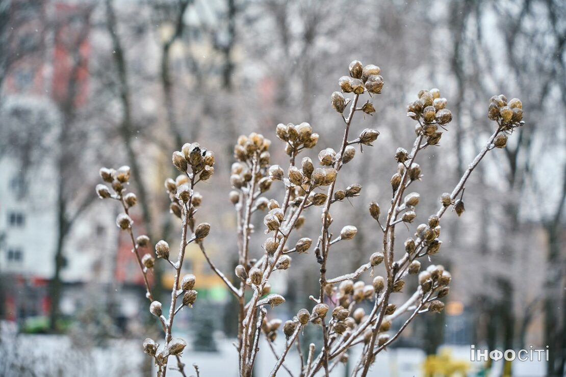 Крижаний Харків (фоторепортаж)