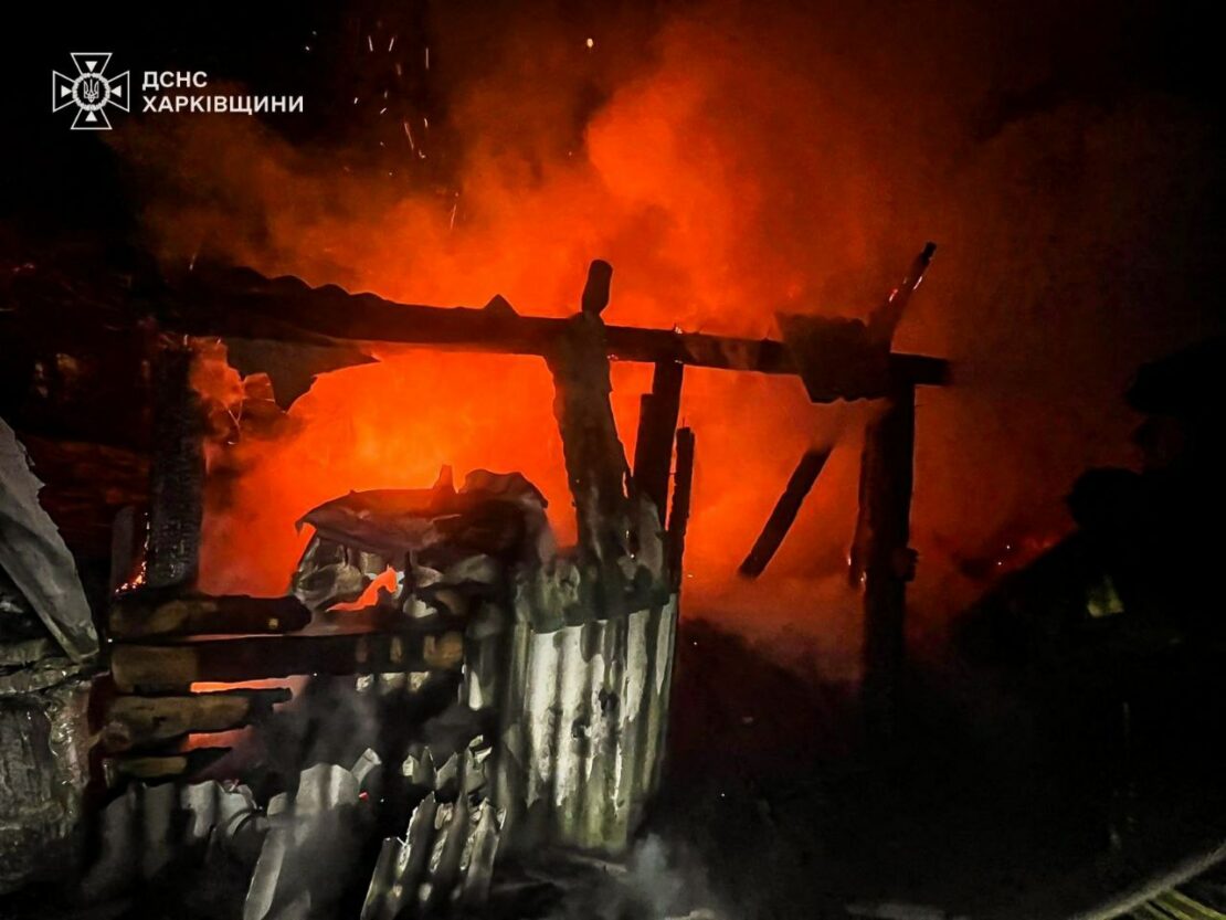 На Харківщині під час гасіння пожежі врятували собаку (фото)