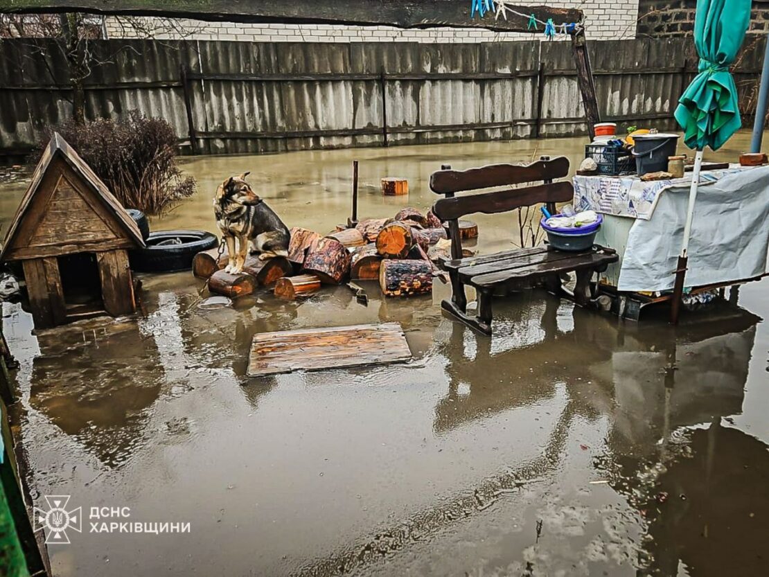 Підтоплення на Харківщині: ДСНС проводить рятувальні заходи