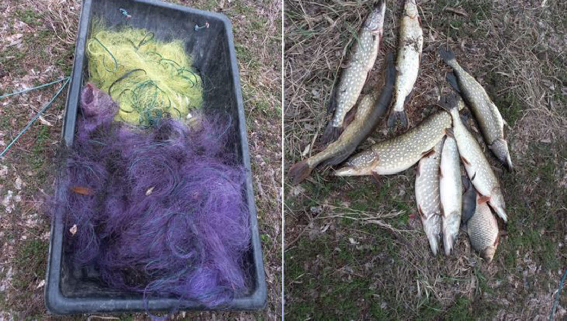 На Харківщині браконьєр ловив щуку під час нересту