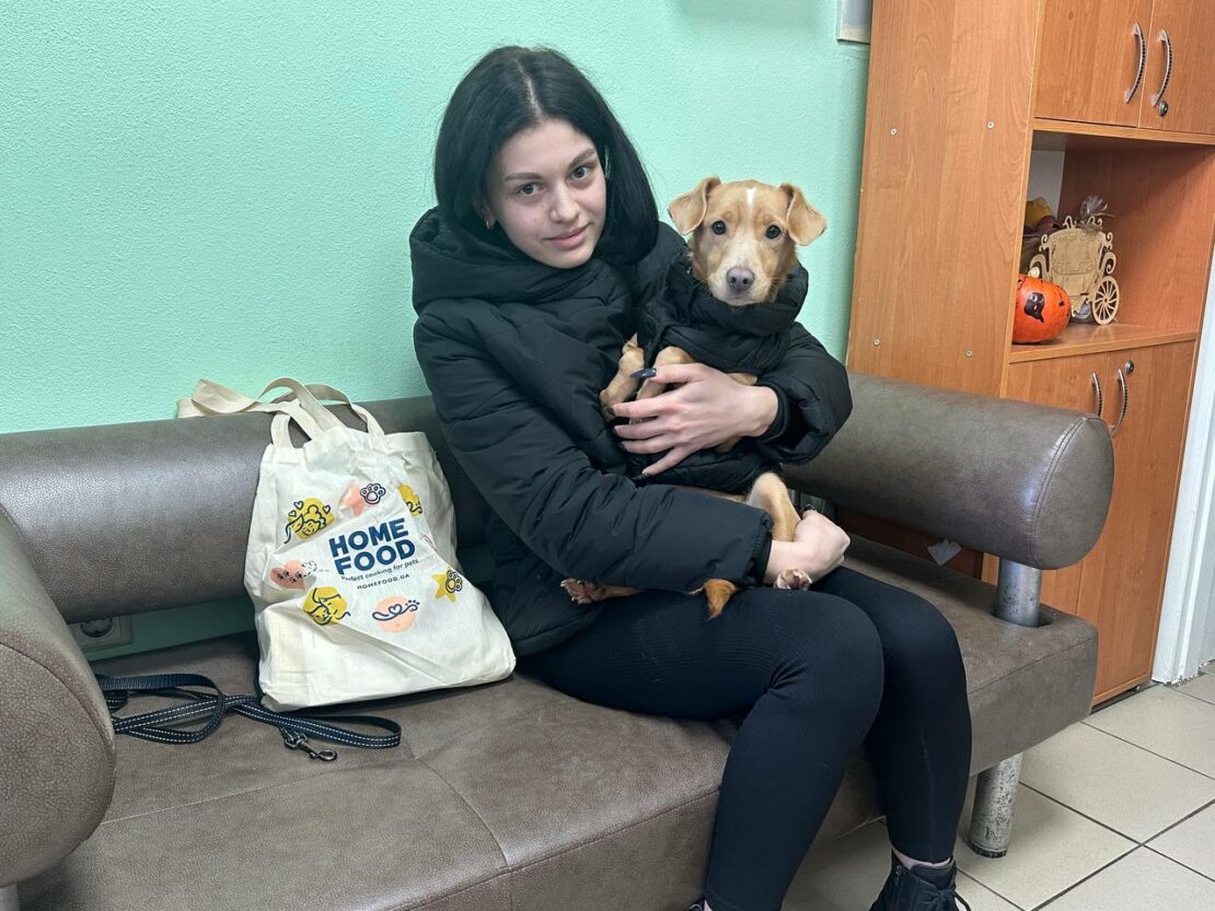 У лютому харківський притулок прийняв понад 140 тварин (фото)