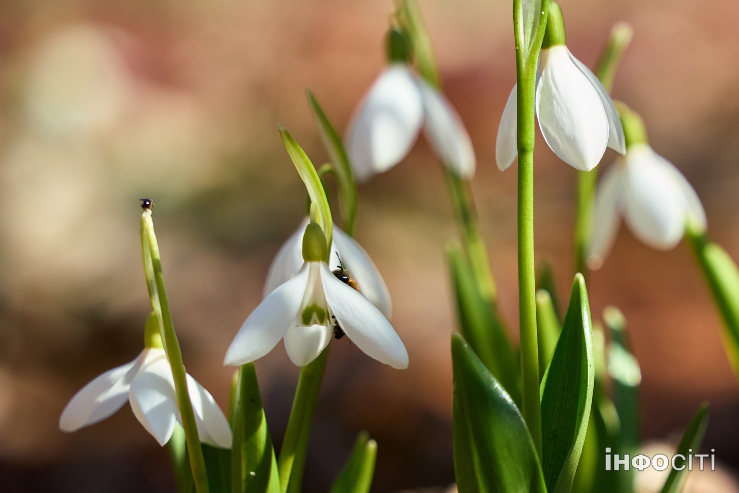 Прогноз погоди у Харкові на 26 березня 2026 року