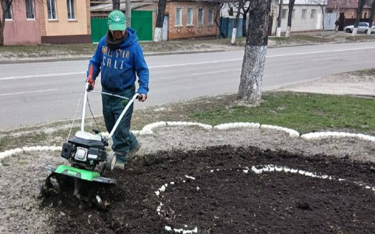 У Харкові планують створити близько тисячі клумб та квітників