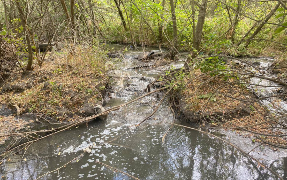 Забруднення земель у Харкові: судитимуть керівницю підприємства