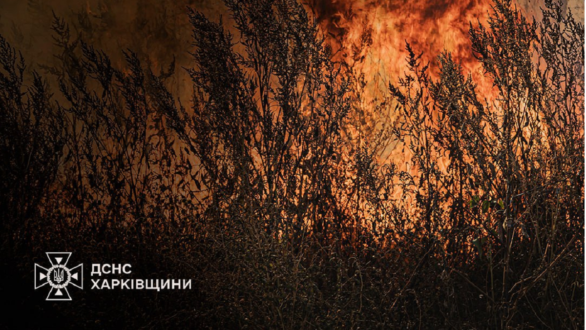 На Харківщині почастішали випадки пожеж в екосистемах