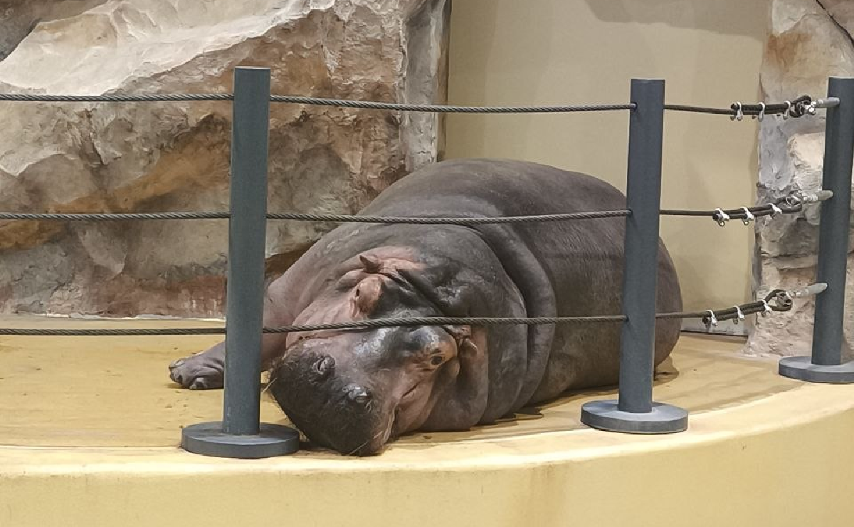 Харківський зоопарк переходить на літній графік