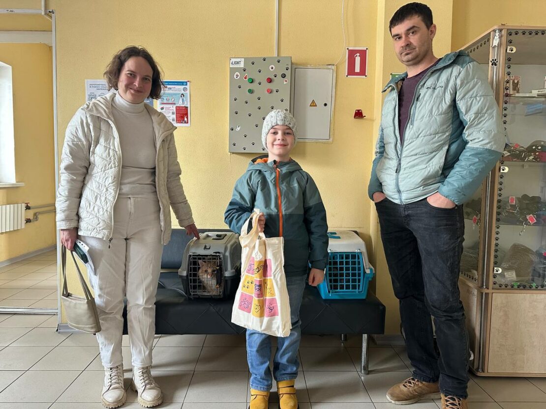 У лютому харківський притулок прийняв понад 140 тварин (фото)