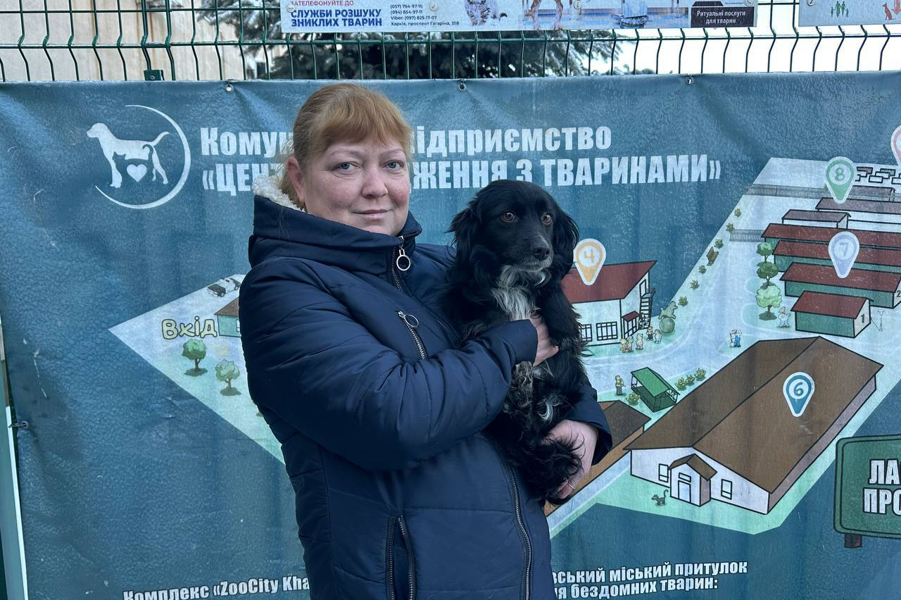 У лютому харківський притулок прийняв понад 140 тварин