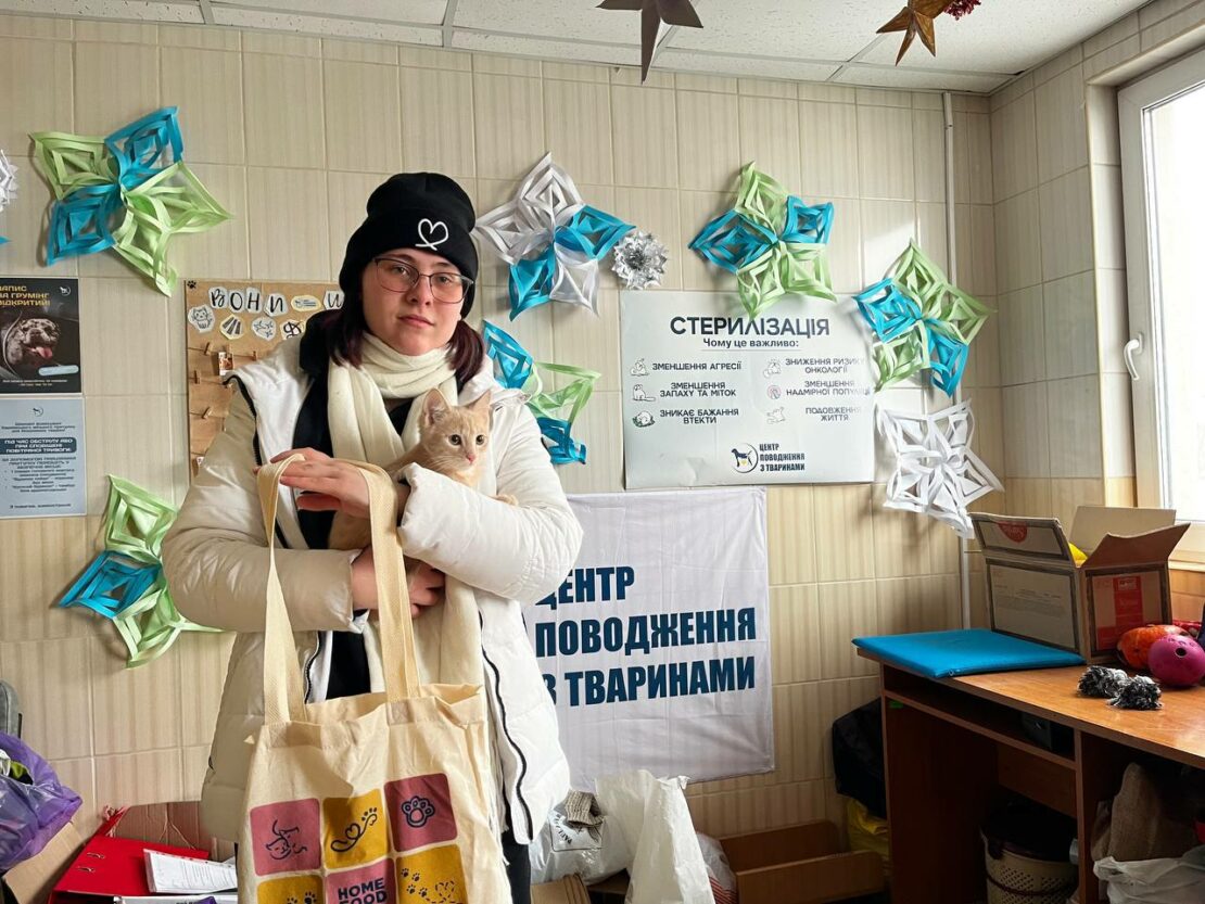 У лютому харківський притулок прийняв понад 140 тварин (фото)