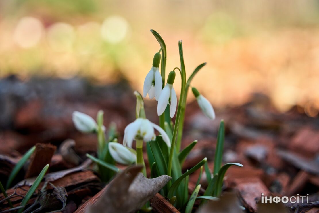 Прогноз погоди у Харкові на 30 березня 2026 року