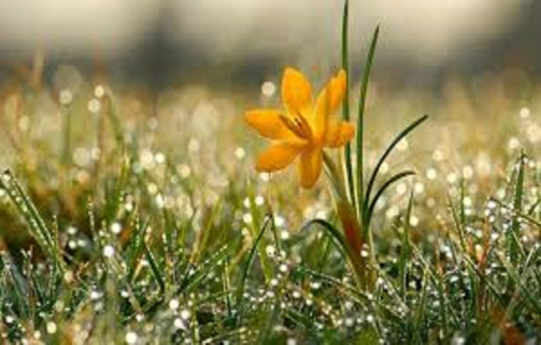 Новини Харкова: прогноз погоди на 21.03.2026