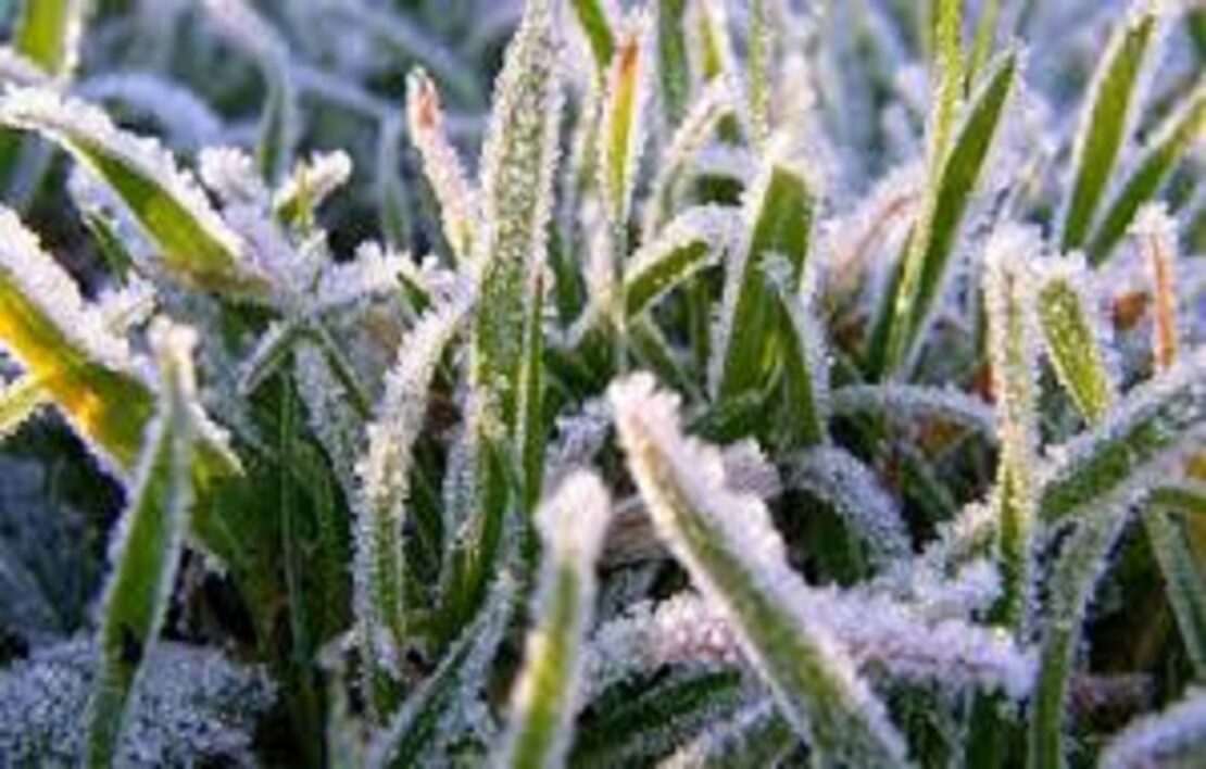 Новини Харкова: прогноз погоди на 01.03.2026