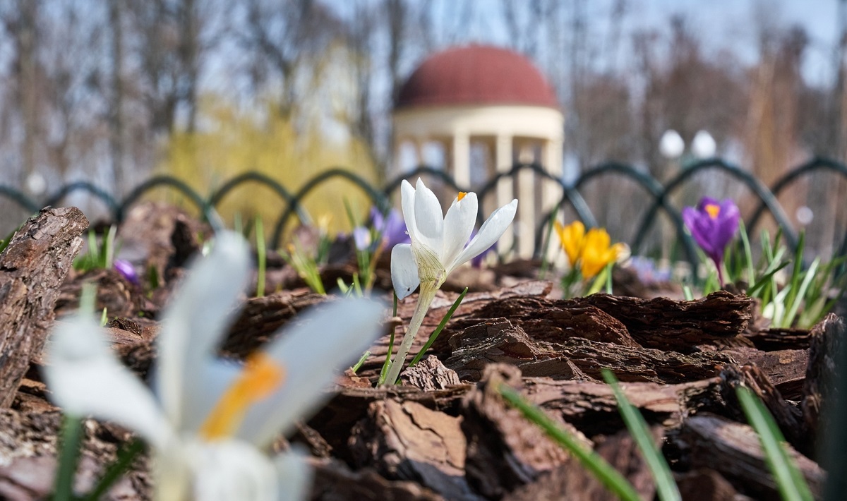 Якою буде погода в Харкові у квітні: прогноз синоптиків