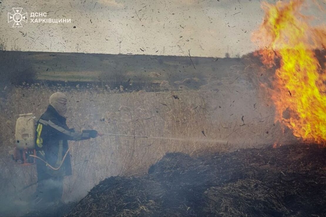 На Харківщині під час спалювання сухої трави постраждала літня жінка