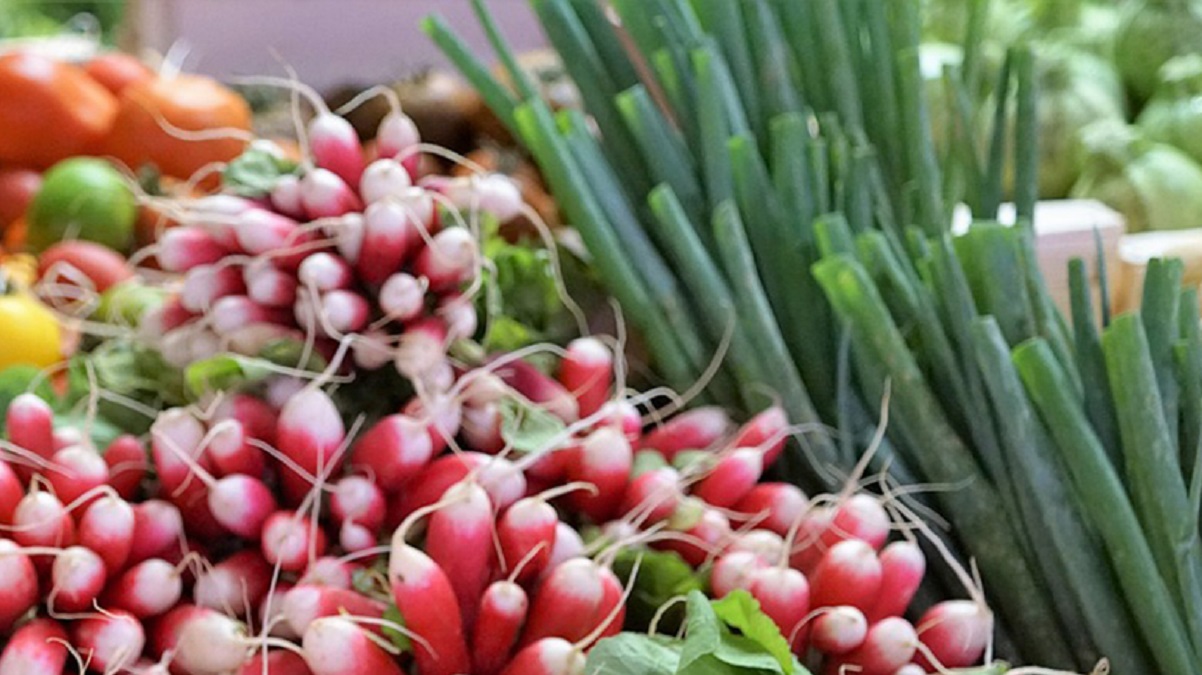 Скільки у Харкові коштують ранні овочі нового врожаю