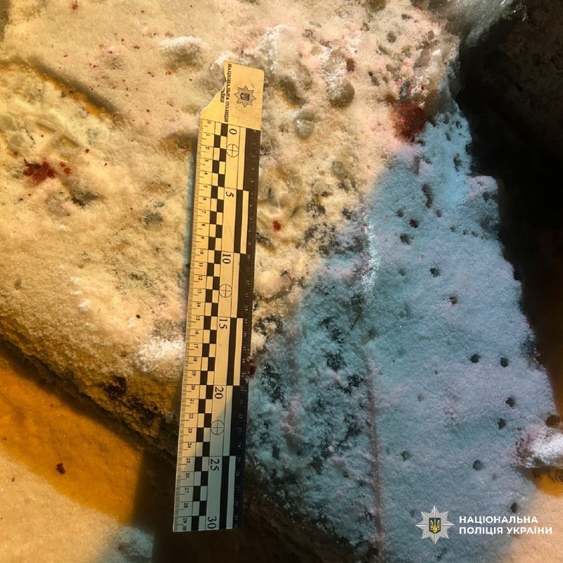 На Харківщині розшукали водія, який збив велосипедиста та втік (фото)