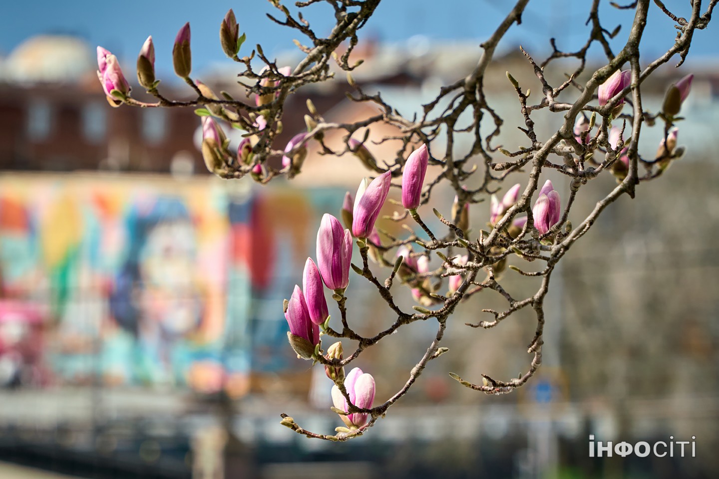 Прогноз погоди у Харкові на 8 квітня 2026 року