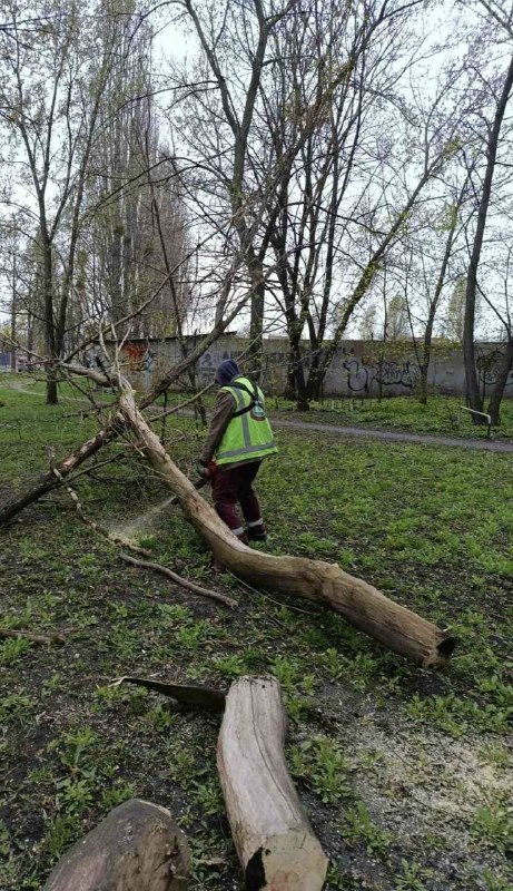 У Харкові через негоду падали дерева та гілки (фото)