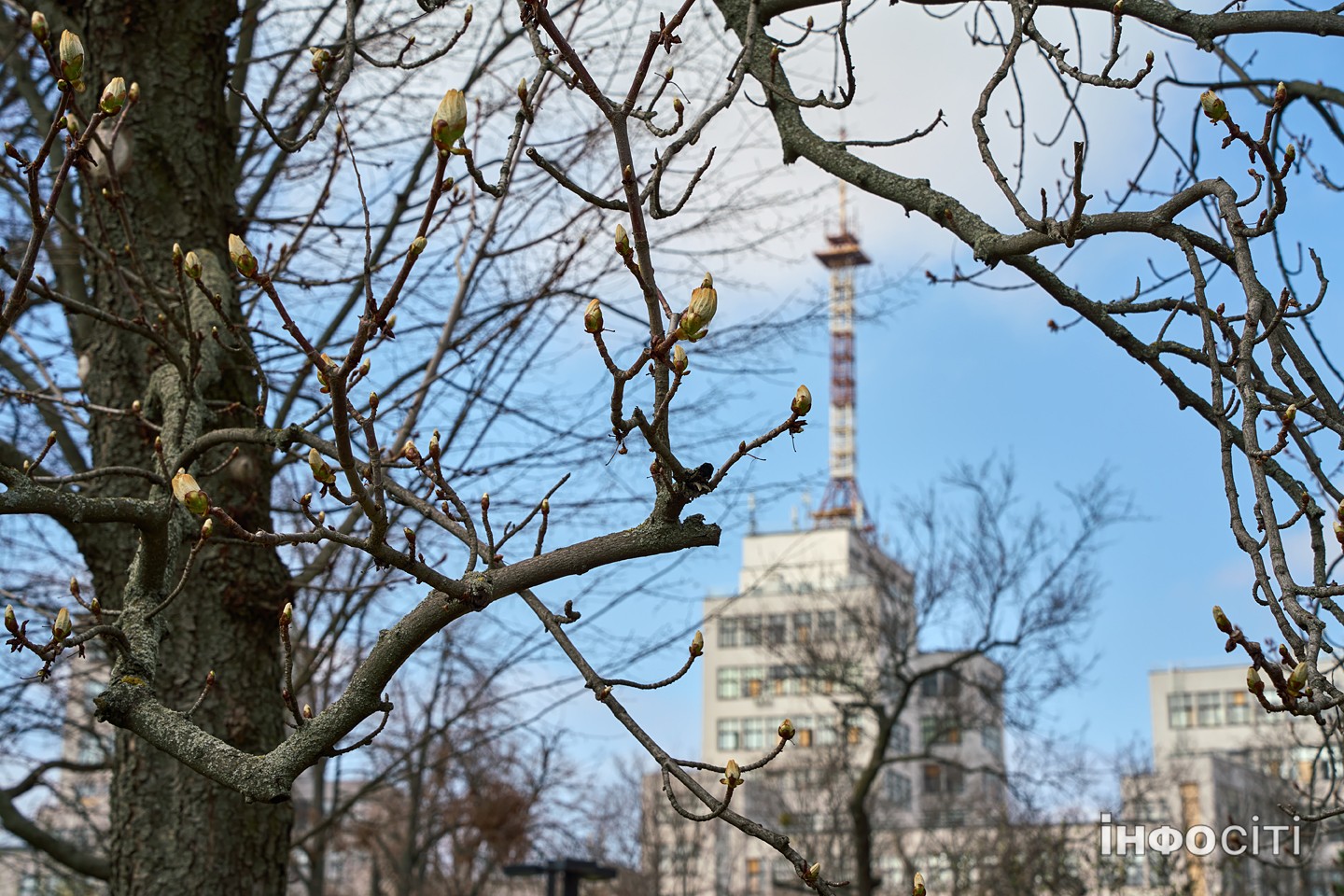 Прогноз погоди у Харкові на 16 квітня 2026 року