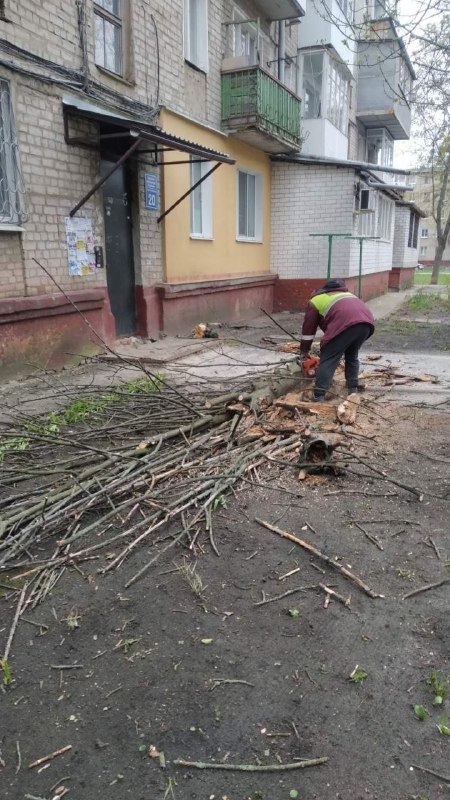 У Харкові через негоду падали дерева та гілки (фото)