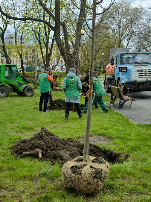 У Харкові триває озеленення громадських зон відпочинку (фото)