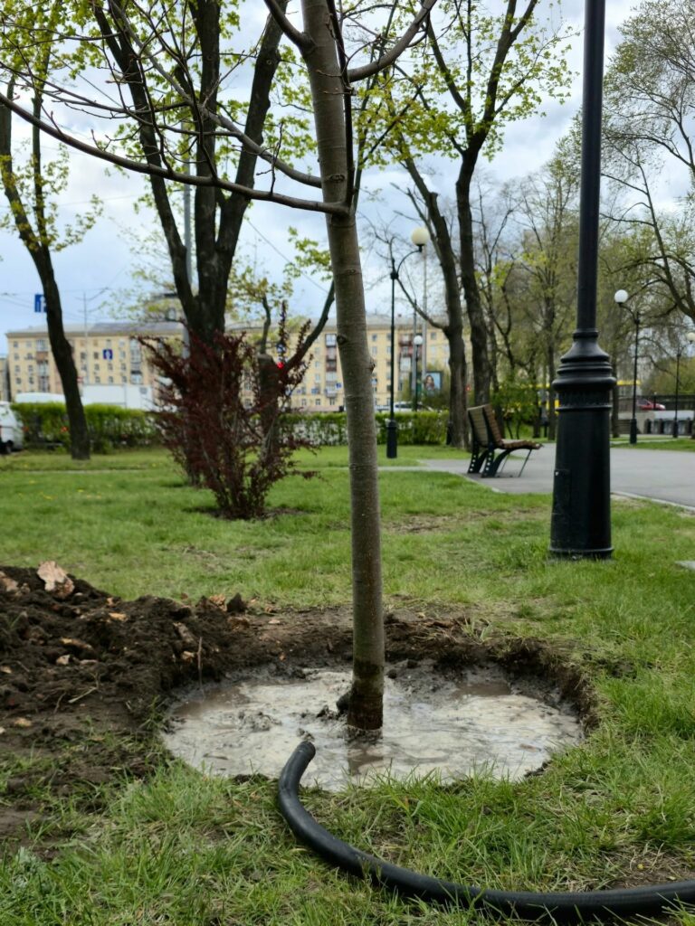 У Харкові триває озеленення громадських зон відпочинку (фото)