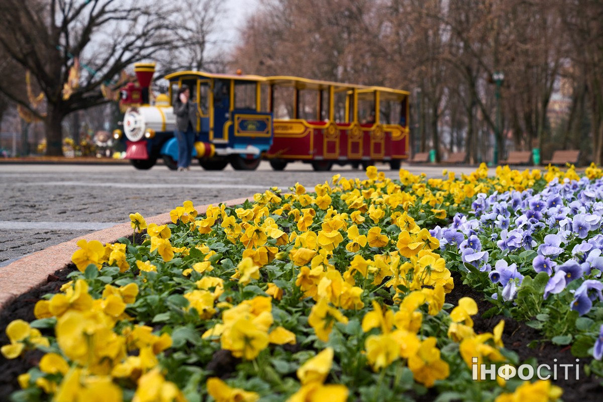 У центрі Харкова почали висаджувати квіти - фото