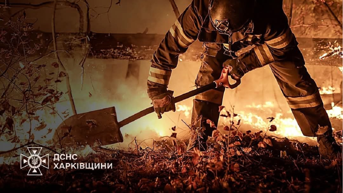 На Харківщині за тиждень вигоріло близько 34 га територій