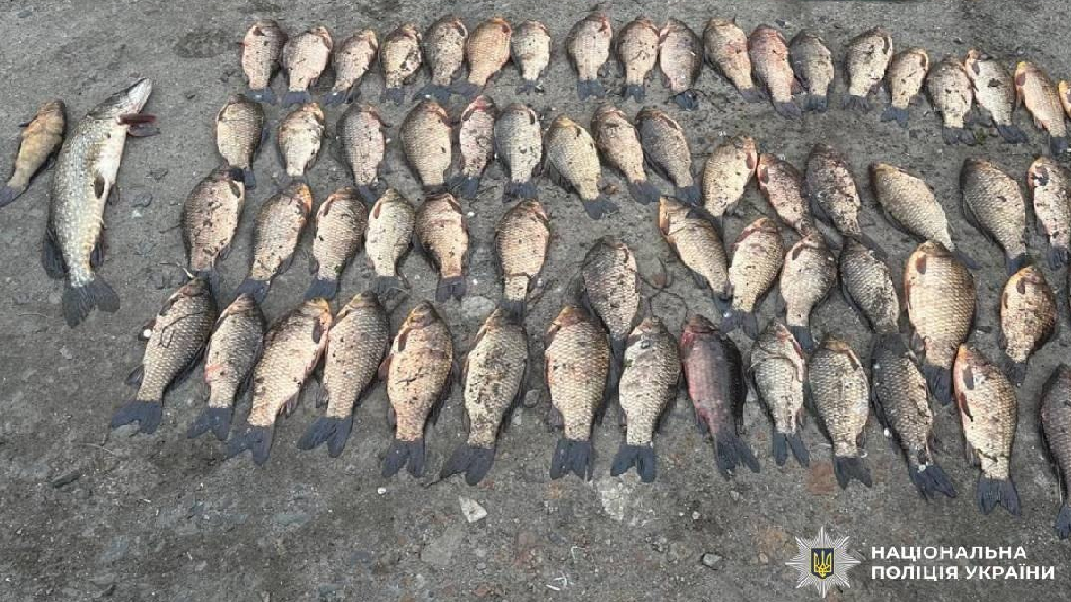 Любителів незаконної рибалки викрили у Берестинському районі