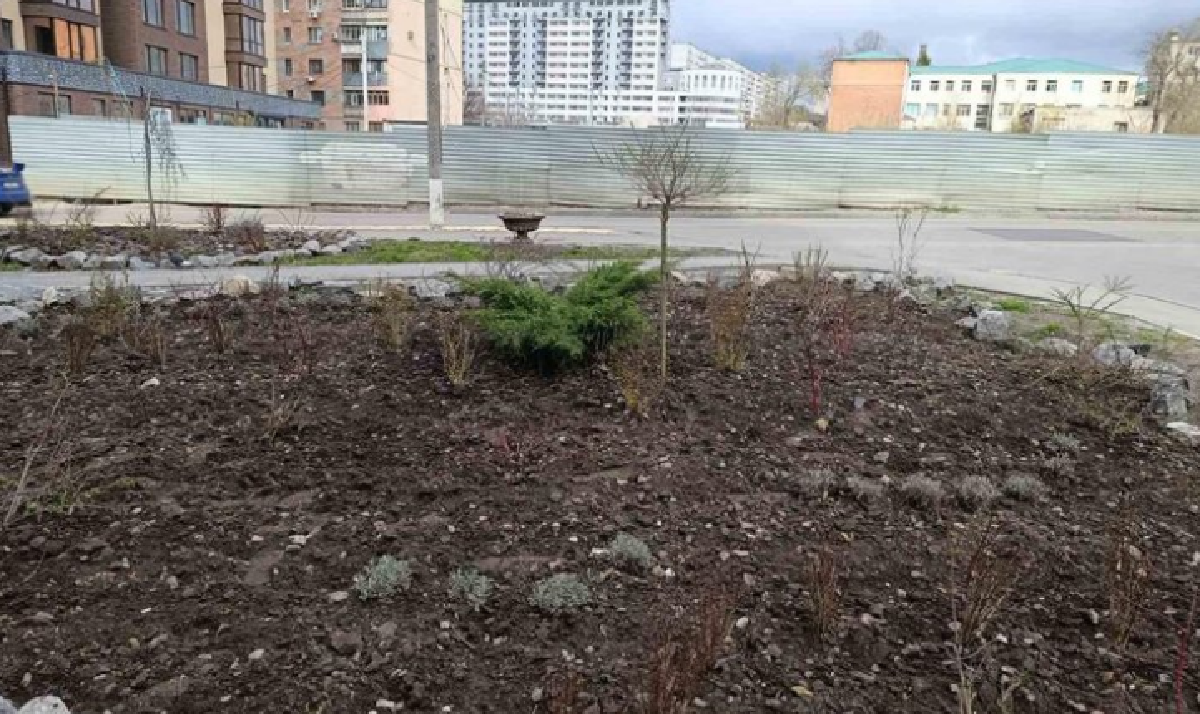 У Харкові почастішали випадки крадіжок зелених насаджень