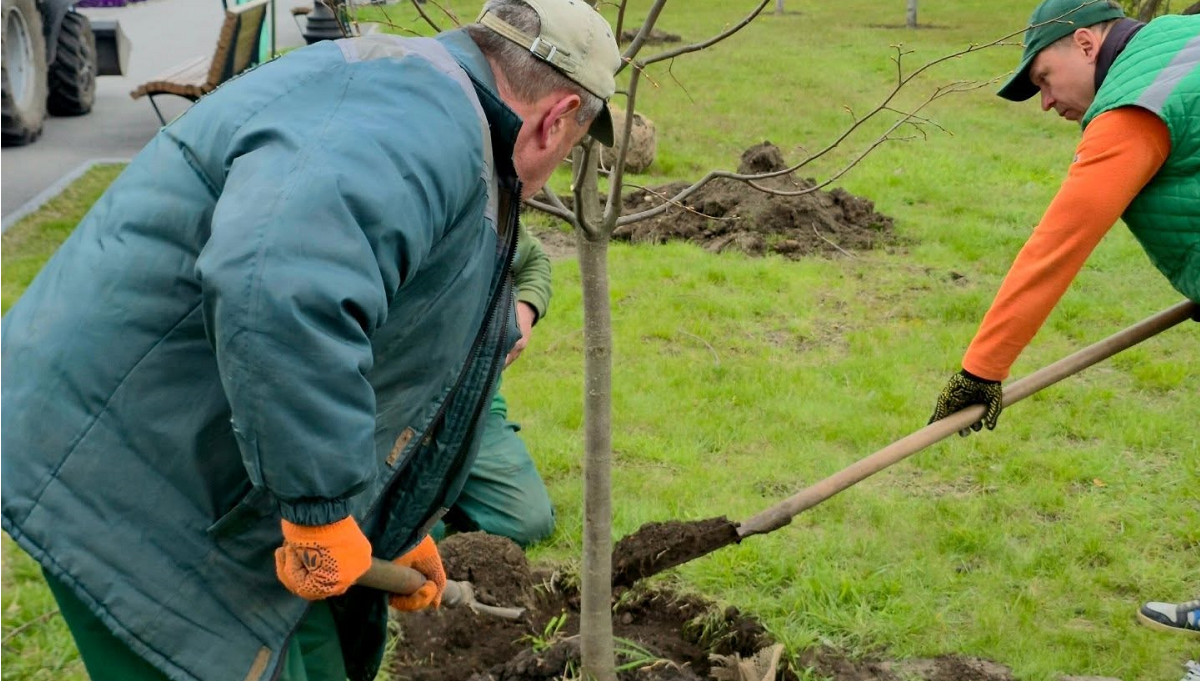 У Харкові триває озеленення громадських зон відпочинку (фото)