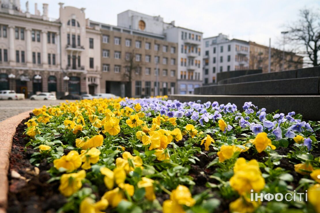 Прогноз погоди у Харкові на 9 квітня 2026 року