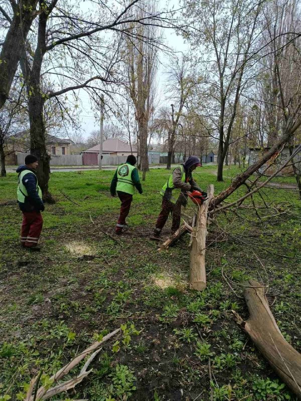 У Харкові через негоду падали дерева та гілки (фото)