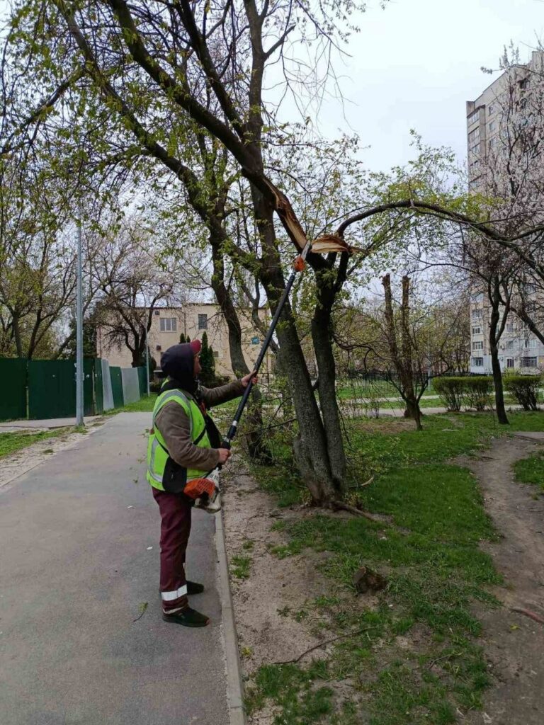 У Харкові через негоду падали дерева та гілки (фото)
