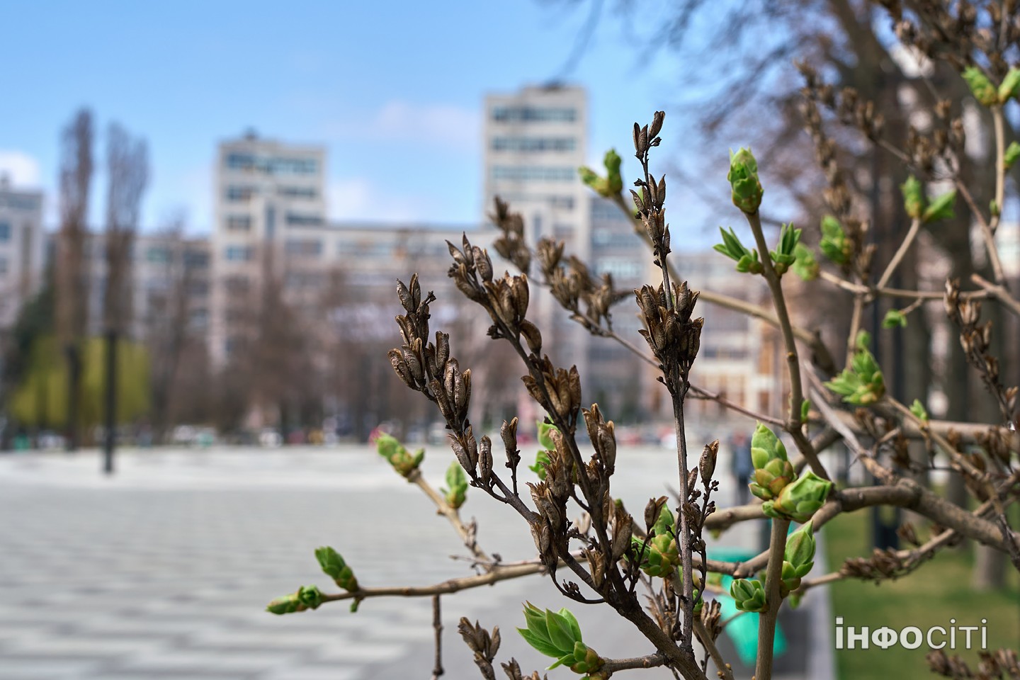 Весняний день у центрі Харкова - фоторепортаж