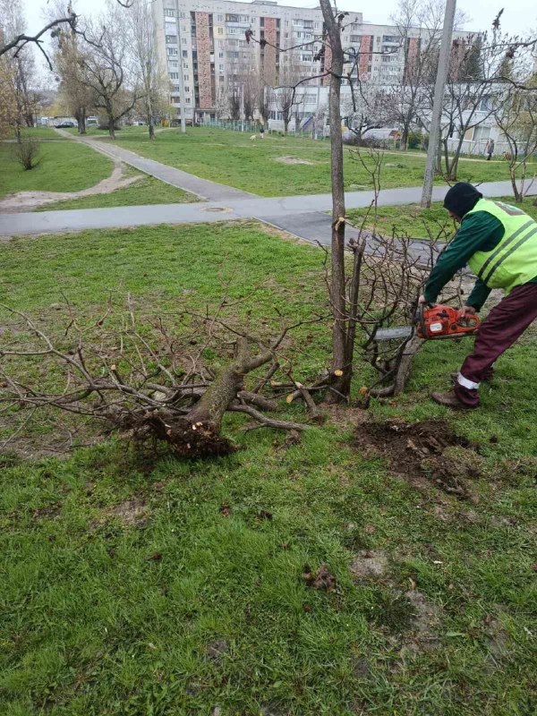 У Харкові через негоду падали дерева та гілки (фото)